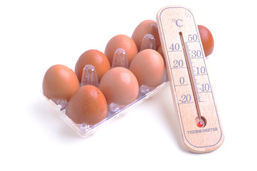 The thermometer laying on eggs. Food and healthcare conceptual.