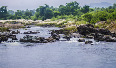 River and rocks