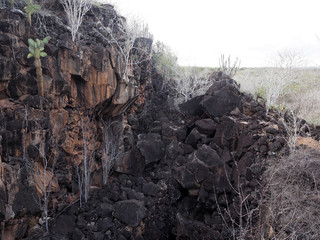 gloomy rocks on the coast of the island, North Seymour, Galapagos, Ecuador