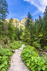 Fototapeta premium Landscape of hiking trail under mount of giewont, Tatra Mountains, Poland