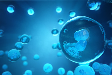 Human or animal cells on blue background. Concept Early stage embryo Medicine scientific concept, Stem cell research and treatment. 3D illustration.