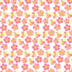 Romantic floral background. Flower. Japanese daisies