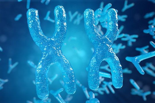 3D illustration XY-chromosomes as a concept for human biology medical symbol gene therapy or microbiology genetics research