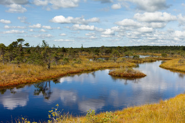 Bog landscape in Kemeri National park, Latvia.