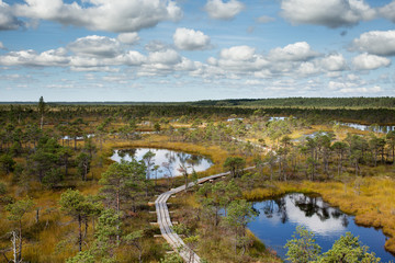 Bog landscape in Kemeri National park, Latvia.