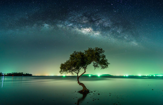 Fototapeta Landscape with Milky way galaxy. Night sky with stars and silhouette mangrove tree in sea. Long exposure photograph.
