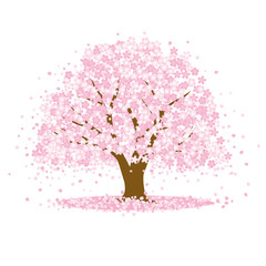桜の木