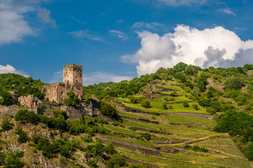 Fototapeta na wymiar Gutenfels Castle and vineyards at Rhine Valley near Kaub, Germany.
