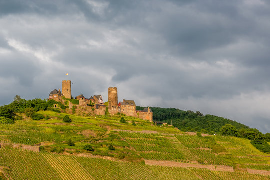 Thurant Castle and vineyards above Moselle river near Alken, Germany.