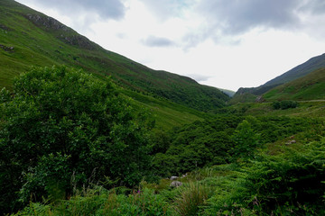 Landschaft in den schottischen Highlands