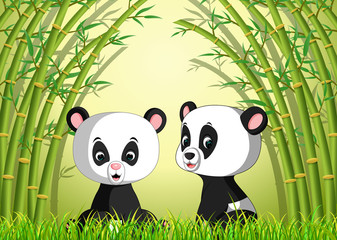 two cute panda in a bamboo forest 