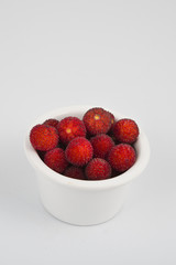 Arbutus on white background