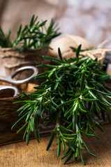 Branches of raw rosemary