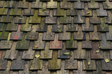Wood roof, covered with moss.