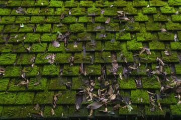 Wood roof, covered with moss.