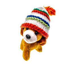 Beautiful yellow plush dog on a white background