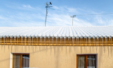 Icicles in winter