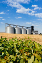 four silver silos in a wheat field © Mykola