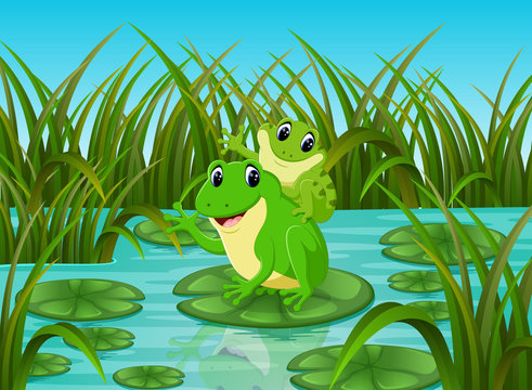 River scene with happy frog on leaf