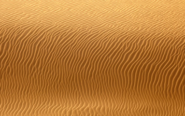 desert sand