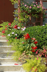 Fototapeta na wymiar Escalier fleuri d'une maison