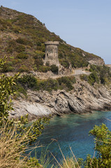 Fototapeta na wymiar Corsica, 27/08/2017: la Torre di Losse, o Torre dell'Osse (1599), una torre genovese in rovina nel comune di Cagnano (Alta Corsica) lungo la strada tortuosa della costa est di Capo Corso