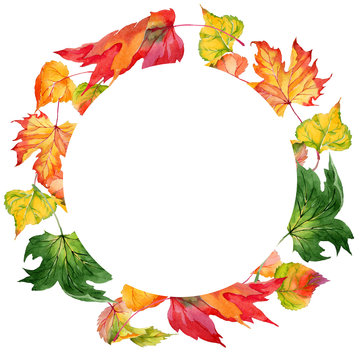 Autumn leaf of poplar wreath in a hand-drawn watercolor style. Aquarelle leaf of poplar for background, texture, wrapper pattern, frame or border.