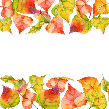 Autumn leaf of poplar frame in a hand-drawn watercolor style. Aquarelle leaf of poplar for background, texture, wrapper pattern, frame or border.