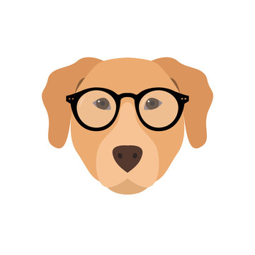 Labrador in glasses. Cute dog vector illustration.