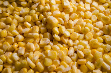 Corn Corn Background