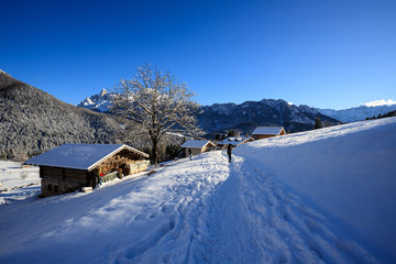 paesaggio invernale a Piereni, in Val Canali, nel parco naturale di Paneveggio - Trentino