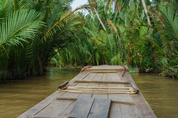 river in the jungle