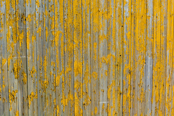 Oblessa yellow paint on a wooden fence - background