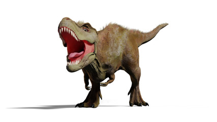 Tyrannosaurus rex roaring,  T-rex dinosaur (3d illustration isolated with shadow on white background)