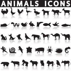 Animal icons set on a white background with a shadow