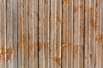 Oblessa yellow paint on a wooden fence - background