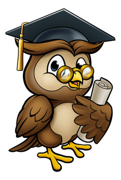 Wise Owl Graduate Character