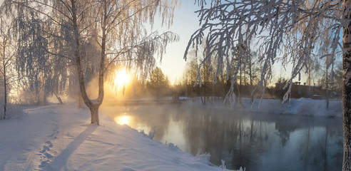 Заснеженный зимний лес кустами и елями на берегу реки с туманом, Россия, Урал, январь