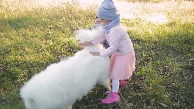 little boy and girl playing with white dog at sunset outdoors