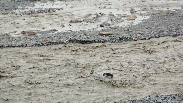 Mudflow caused by climatic changes and snowmelting coming down from mountains
