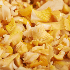Surface coated with the sliced chanterelle