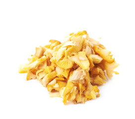 Yellow chanterelle mushroom isolated