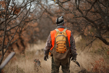 hunters with dogs hunting a bird woodcock