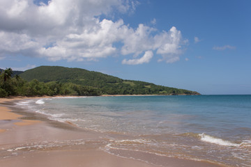 Plages de Guadeloupe : cluny