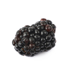 Single blackberry fruit isolated