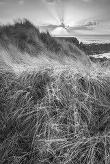 Beautiful black and white landscape image of Freshwater West beach with sand dunes on Pembrokeshire Coast in Wales