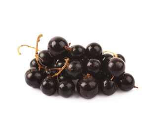 Pile of black currant berries isolated