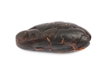 Single cocoa bean isolated