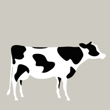 Vector illustration of a milk cow