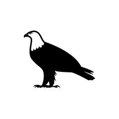 eagle vector silhouette